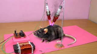 how to make mouse trap using electronic ￼at your home