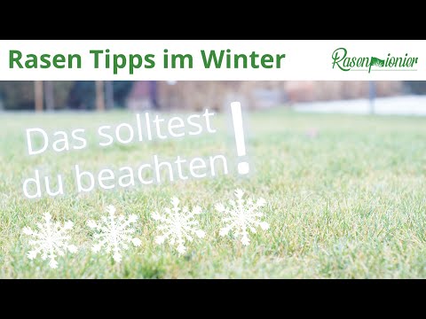 Video: Welche Rasengräser Sind Frostbeständig Und Im Winter Grün?