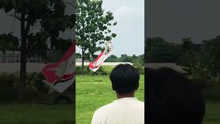 RC Pesawat 150ribuan #aeromodelling #fpv #f16v #drone #beltfpv #f22raptor #poweradapter #jet #dji
