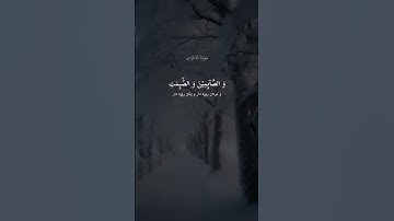 سوره الاحزاب با ترجمه فارسی #muslim#prayer #alhamdulillah #ahzabsurah #ahzab #muslimin #allahuakbar