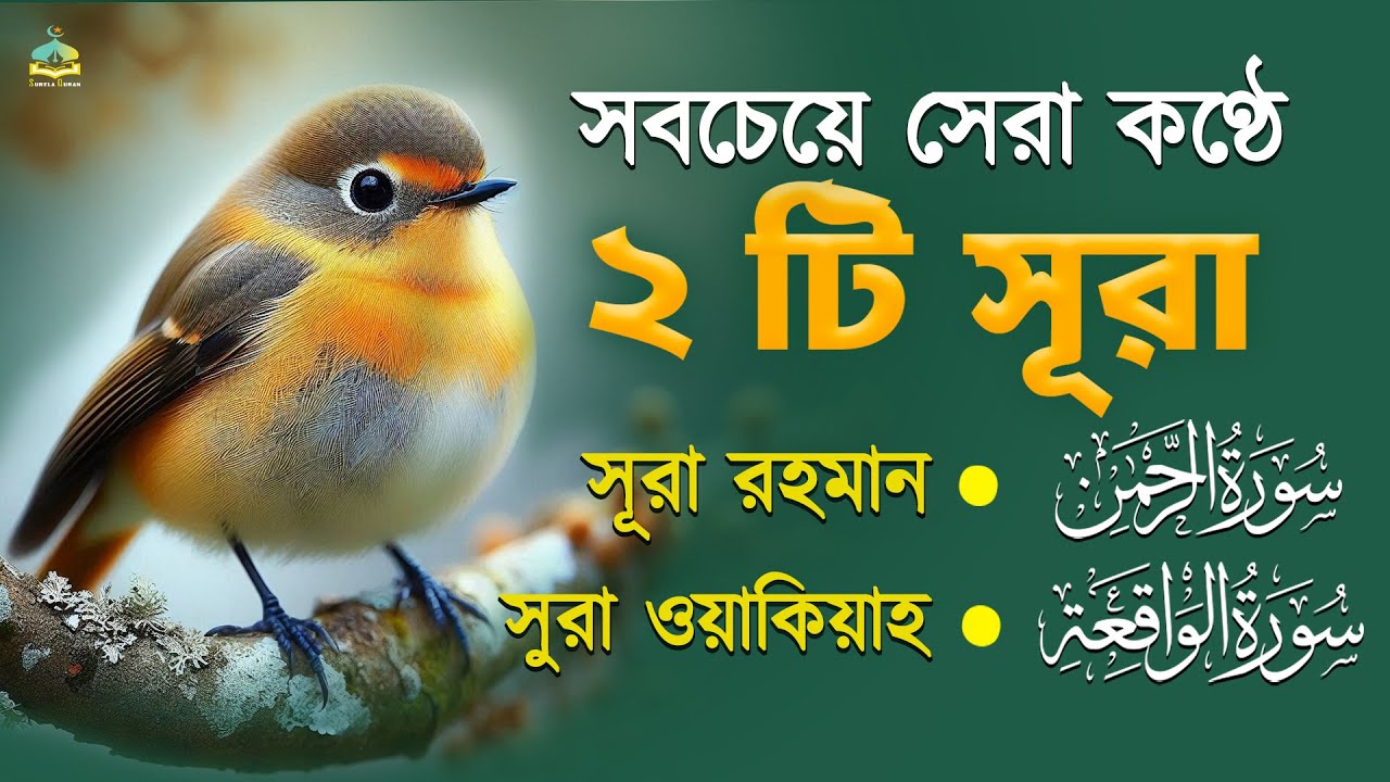 সু-মধুর কণ্ঠে সেরা ২ টি  সূরা আর রহমান সূরা ওয়াকিয়াহ  lBest Quran Recitation