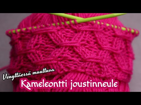 Video: Kuinka Pitää Kameleontti