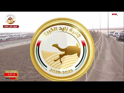 الشوط 13 ل متباهي ل غريب راشد سويدان بن حضيرم الكتبي 5 51 10 جائزة زايد الكبرى 2025