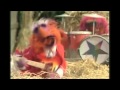 ||| Raining Muppets |||