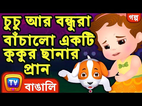 ভিডিও: ফ্যাশন আইটেম। মেয়েদের জন্য ফ্যাশন আইটেম. ফ্যাশনেবল মহিলাদের জিনিস