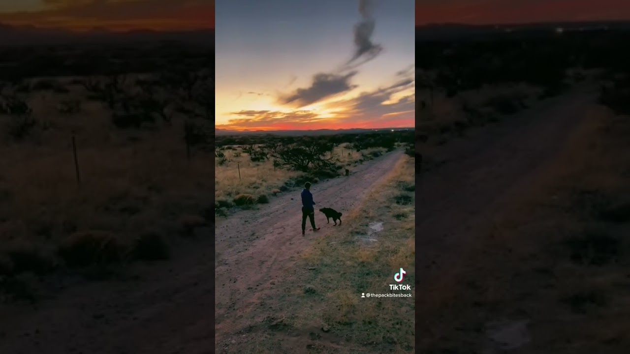 Life on the road with 6 dogs😱 our own little slice of heaven 🥰 