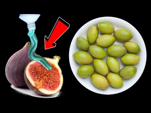 شئ عجيب يكشفها علماء اليابان فى التين والزيتون