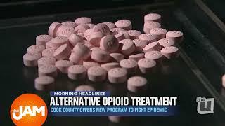Famous Chicago Combats Opioid Crisis Net Worth