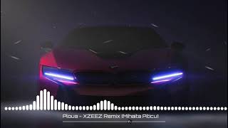 Ploua - XZEEZ REMIX (Mihaita Piticu)