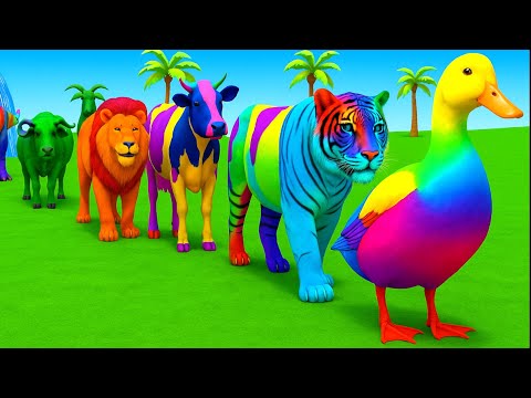 سورة البقرة تلاوة مرتلة بصوت الشيخ ياسر الدوسري