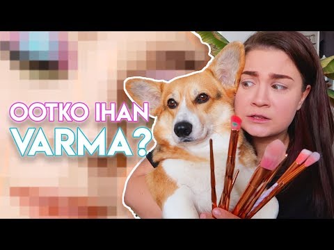 Koirani päättää mun