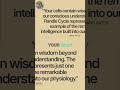 Randall Cycle: Unlock Metabolic Wisdom for Optimal Health