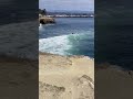 Surfing the Waves in Santa Cruz 🌊🏄‍♂️ | Sun, Sea, and Surf Vibes
