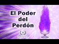 ¿Cómo te libera el perdón?