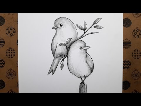 Karakalem Kolay Kuş Resmi Nasıl Çizilir, Adım Adım Kuş Çizimi