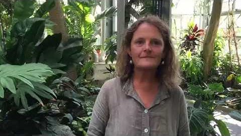 Tips for field trips to the U.S. Botanic Garden