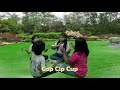 Cap Cip Cup