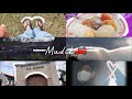 Spesial Mudik 🚗 || Daily Vlog ||