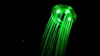 LEDShawerNEWMODEL - Show Color changing.AVI