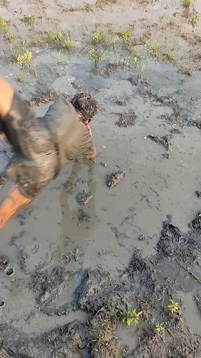 Download lagu Do you want some Rio tea?