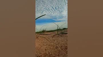 What Ta Sky 