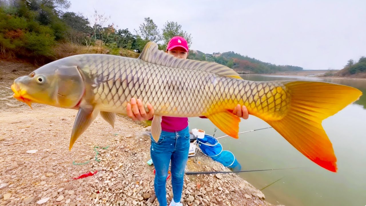 菜市場和陌生人借地瓜釣魚，鯉魚接連上鉤，老奶奶看到魚說真幸福！ 【娜小娜愛釣魚】