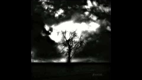 A Cloud Forest - Cower Into My Darkness (movement 01)