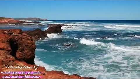 ماتيسر من أواخر سورة المائدة بصوت القارئ // أحمد فتحي السماوي