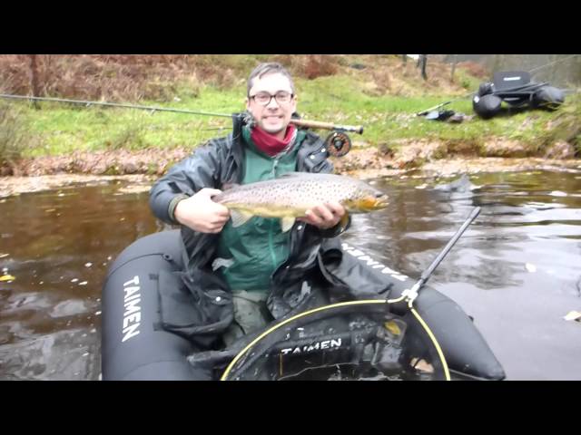 Large wild Scottish brown trout on the fly from a float tube