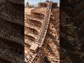 When Were The Egyptian Pyramids Built