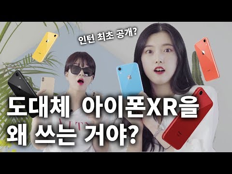 결국 아이폰XR이 진리인 이유... 아이폰XR 유저가 승자? (ft.디에디트 인턴 공개)