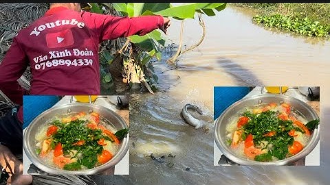 Câu cá rô đồng cùng mấy đứa cháu đụng độ con cá to đùng và cá rô nấu canh chua bắp cải 