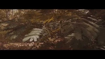 A QUICK GH4 4K V-Log L/ JAKOB OWENS LUT TEST (HAND HELD)