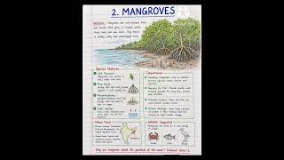 Mangroves