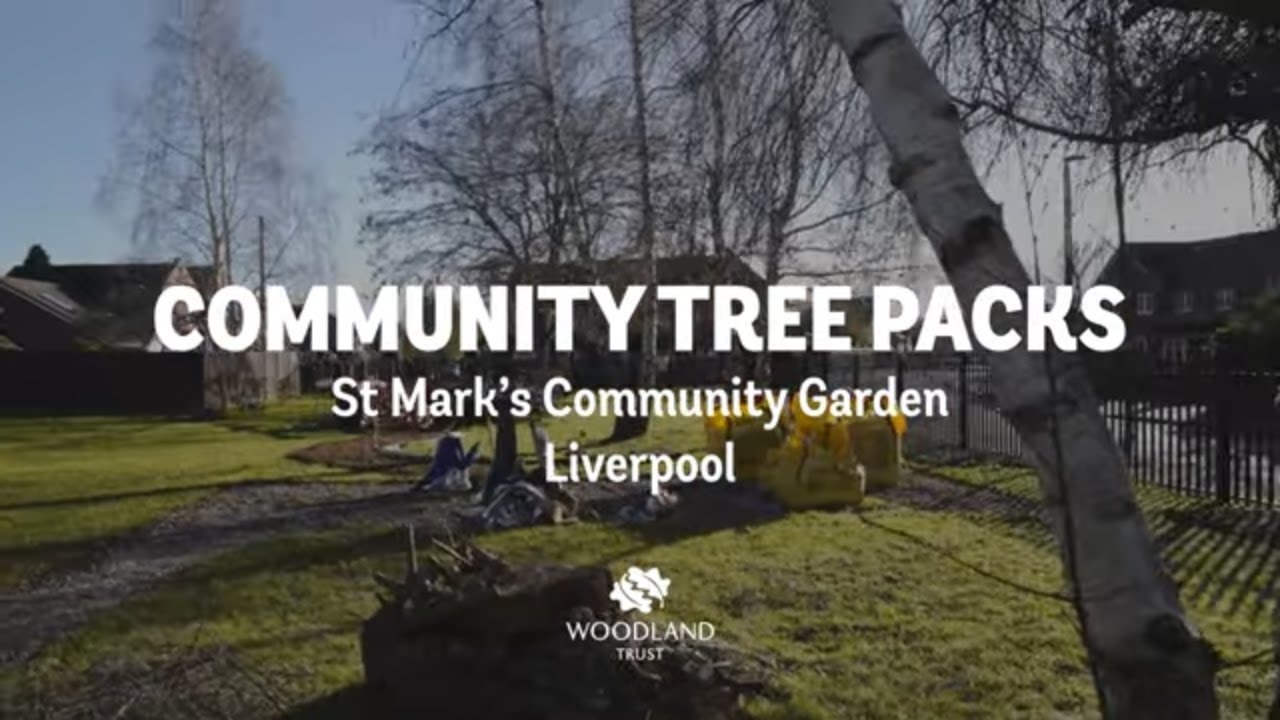 Free trees for community garden in Liverpool