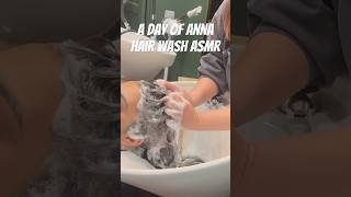 Most Satisfying Hair Wash ASMR #asmr#asmrvideo#shampooasmr#hairwashasmr#scalpmassage#relaxingasmr