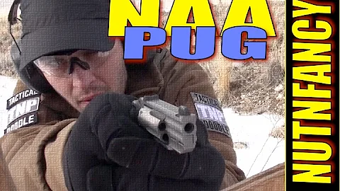 America's Greatest Tiny Gun: The PUG