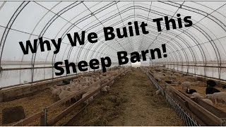 Sheep Barn/Housing:  Why We Built the Barn We Did!