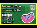 Preguntas de Biología UNAM (Organelos celulares)