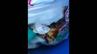 Dewey jones dumps his trash but has paper delivery