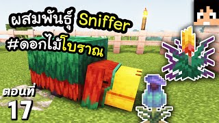 สิ่งมีชีวิต Sniffer และดอกไม้โบราณ~! ตอนที่ 17 | Minecraft เอาชีวิตรอดมายคราฟ 1.20