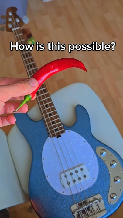 Make it make sense 🎸🌶️  #redhotchillipeppers #red #hot #chilli #pepper #bass 🎥 darthstepheus