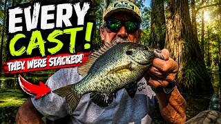 Nobody Fishes This Swamp… The Shellcracker Bite Was INSANE