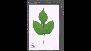 The Best New Photoshop 2023 Feature ||  Delete and Fill Selection #photoshop #shorts