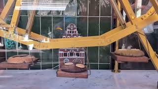 Displaying Delightful Cookies on a Ferris Wheel