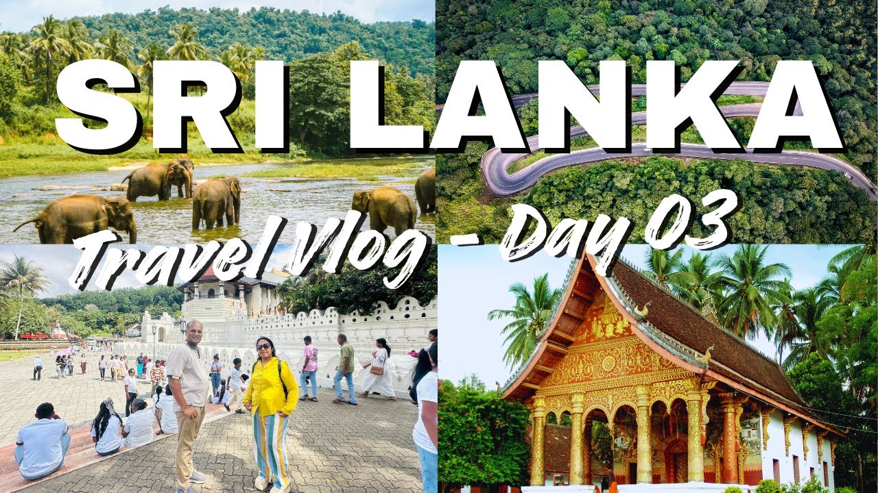 Шри-Ланка, день 3 🇱🇰 | Канди — Нувара-Элия | Храм Зуба Будды, чайная фабрика и храм Ханумана