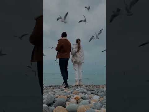 اليسا وسعد المجرد لو تطلب مني عنيا