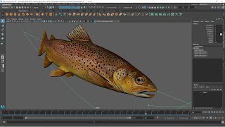 Animating a Fish with a sine wave and motion path.