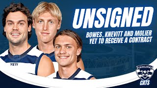 Details LIST MANAGEMENT | What's The Fate Of Final 3 Uncontracted Cats News