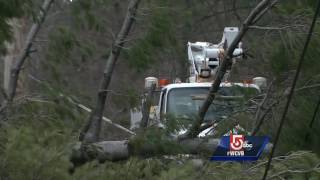 High winds bringing down trees